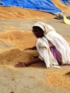 Distressed Mother compelled to work as labourer in grain market to earn for her livelihood