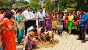 Tree Plantation at Dev Raj Campus