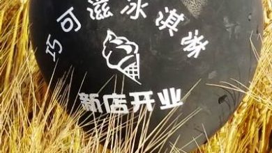Balloon with imprint of Chinese language found in Punjab’s village