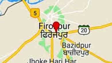 DC Ferozepur lifts containment order in village Ali Ke