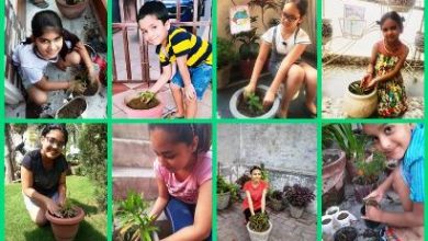 Mayank Foundation’s Green Campaign of ‘Each One Plant One’ draws big response