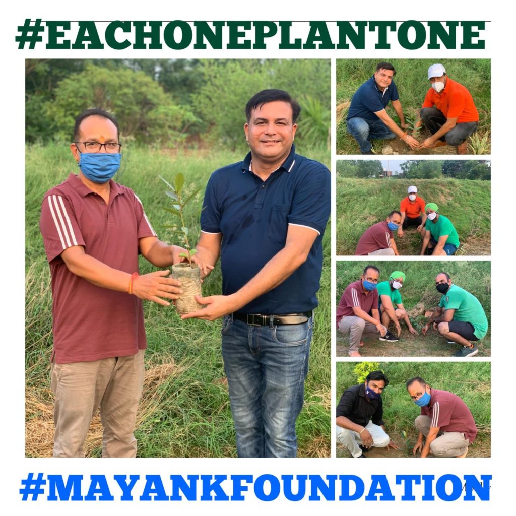 Make sure to plant a sapling on your birthday and anniversary : Mayank Foundation