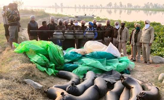 Ferozepur - 32,000 ltr ‘lahan’ recovered in joint raid by Excise and Police teams