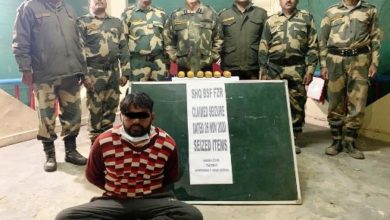 BSF nabs one person, seizes 8 kg heroin, pistol near Punjab Border