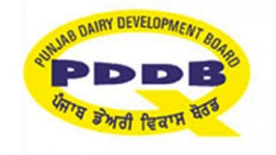 SC beneficiaries to get Free Dairy Training Counseling with 33 percent subsidy on setting up unit