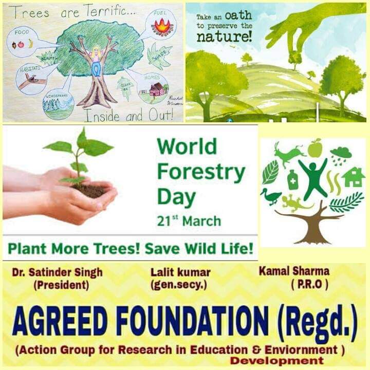 On 21 March: International Day of Forests