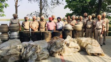 28,000 ltrs ‘lahan’ recovered in Beas and Sutlej enclave, destroyed to avoid its misuse