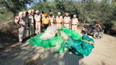 32,000  ltrs ‘lahan’ recovered and destroyed to avoid its misuse