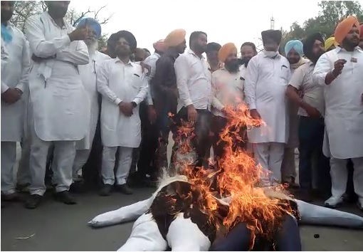 SAD slams AAP, Congress for misleading people and burn effigy in protest