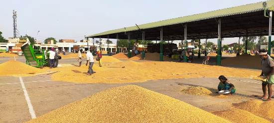 Amid Corona curbs, 95 pc wheat procured in Ferozepur mandis
