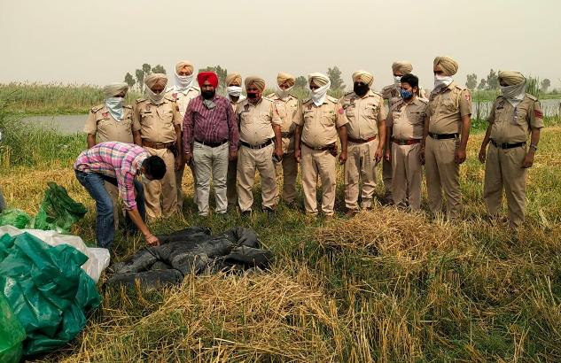 Excise, police cops recover 7,000 ltrs ‘lahan’, 500 bottles illicit liquor in Ferozepur