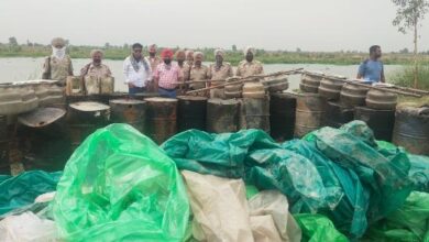 Ferozepur: In a big haul, 98,000 ltrs ‘lahan’, 400 bottles illicit liquor seized and destroyed on spot