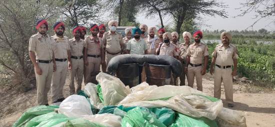 Ferozepur: 48,000 ltrs ‘lahan’, 250 illicit liquor bottles seized