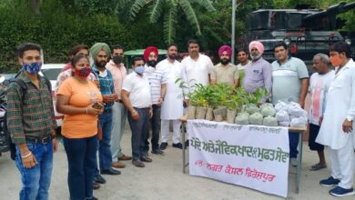 Ferozepur: Municipal Council distributes plants, organic manure to make ‘Green City’
