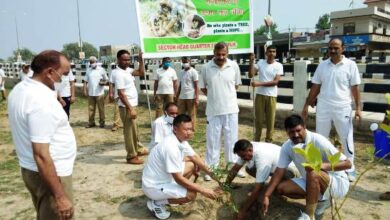 BSF organizes Tree Plantation at Sector HQ  Ferozepur