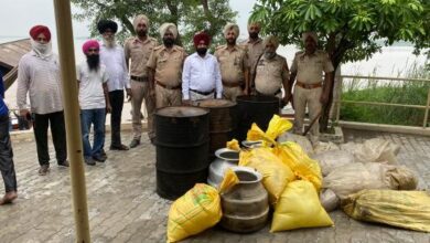 Ferozepur: 13,500 ltrs ‘lahan’, 450 illicit liquor bottles seized
