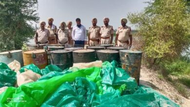 96,000 ltrs ‘lahan’ recovered from near Sutlej River
