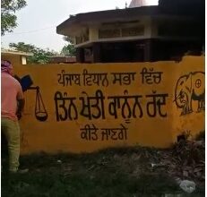 Video defacement of SAD-BSP wall paintings goes viral