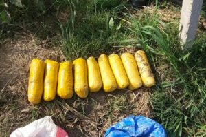 BSF recovers 9 kg contraband in Ferozepur Sector