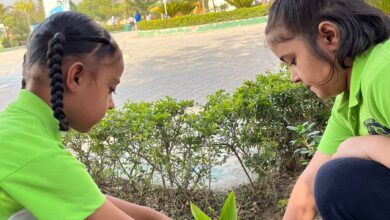 विवेकानंद वर्ल्ड स्कूल प्रांगण में विश्व पर्यावरण दिवस के अवसर पर विद्यार्थियों द्वारा नए पौधे लगाकर उनकी देखभाल का किया गया संकल्प 