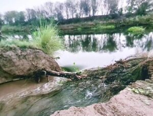 20-ft breach in Gang canal submerges land in Ferozepur