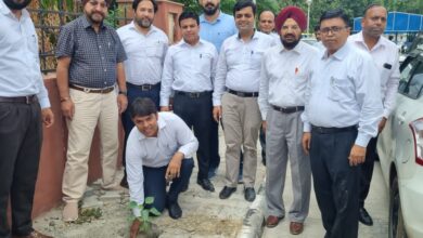 FEROZEPUR: 6 Lions Clubs jointly organised Environmental project, planted trees in  Court Complex