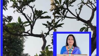 एडीआरएम बीपी सिंह की पत्नी ज्योति सिंह हालीहाक के पौधे को 12 फीट तीन सेंटीमीटर तक बड़ा कर बुक आफ इंडिया में अपना नाम दर्ज करवाया