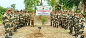 BSF launches plantation drive under Azaadi Ka Amrit Mahotsav