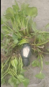 BSF spots floating bottle with heroin in Sutlej River near Indo-Pak border
