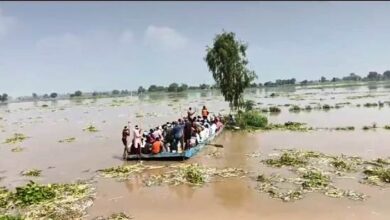 Water released from Harike, due to heavy discharge boat lost control stopped heading towards Pakistan near Hussainiwala