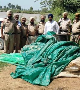 In Ferozepur, 28,800 ltr ‘lahan’ recovered and destroyed to avoid its misuse