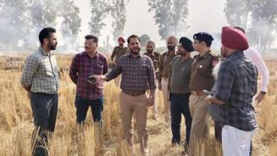 BURNING ISSUE: 3 farmers booked, 81 FIRs for violation of stubble burning in Ferozepur