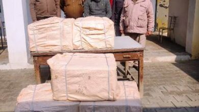 Killer Chinese thread still flying high, one booked on recovery of 300 spools in Ferozepur