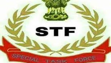 STF nabs one drug peddler with 500 gm heroin in Ferozepur