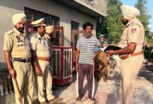Special CASO Op in Ferozepur, 3 drug smugglers held, 64 challans against traffic violators