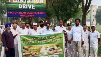 BSF holds plantation drive in Ferozepur