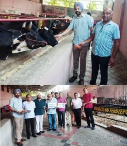 Lions Club Ferozepur Launches First Project of the Year with Support to Gaushala Cows