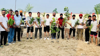 Each One Plant One: Mayank Foundation planted Saplings in Govt Primary School Shahdeen Wala