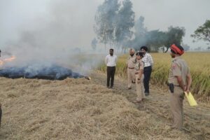 Lead by Example: Collaborative efforts slash stubble burning cases by 60% in 2024 in Ferozepur