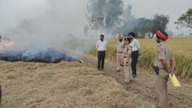 Lead by Example: Collaborative efforts slash stubble burning cases by 60% in 2024 in Ferozepur