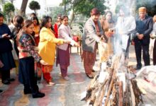 देव समाज कॉलेज फॉर वूमेन फिरोजपुर ने मनाया लोहड़ी का त्योहार