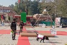 BSF organizes Dog Show at JCP Hussainiwala near Indo-Pak border