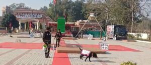 BSF organizes Dog Show at JCP Hussainiwala near Indo-Pak border