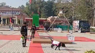 BSF organizes Dog Show at JCP Hussainiwala near Indo-Pak border