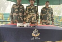 BSF Recovers Pistol and Heroin on Ferozepur Border, Foils Smuggling Attempt