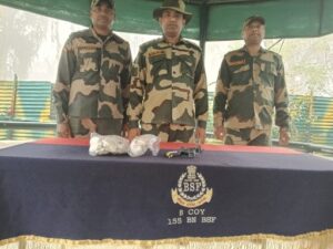 BSF Recovers Pistol and Heroin on Ferozepur Border, Foils Smuggling Attempt