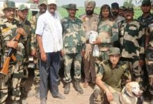 Drone, heroin, pistol seized in coordinated BSF Ops along Punjab Border