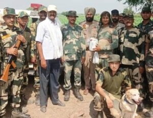 Drone, heroin, pistol seized in coordinated BSF Ops along Punjab Border