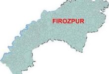 Ferozepur District Shines in 10th Board Exams with 100% Government School Merits