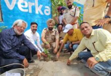 विश्व वातावरण दिवस पर एसएसपी फिरोजपुर में प्रेस क्लब फिरोजपुर में पौधे लगाए